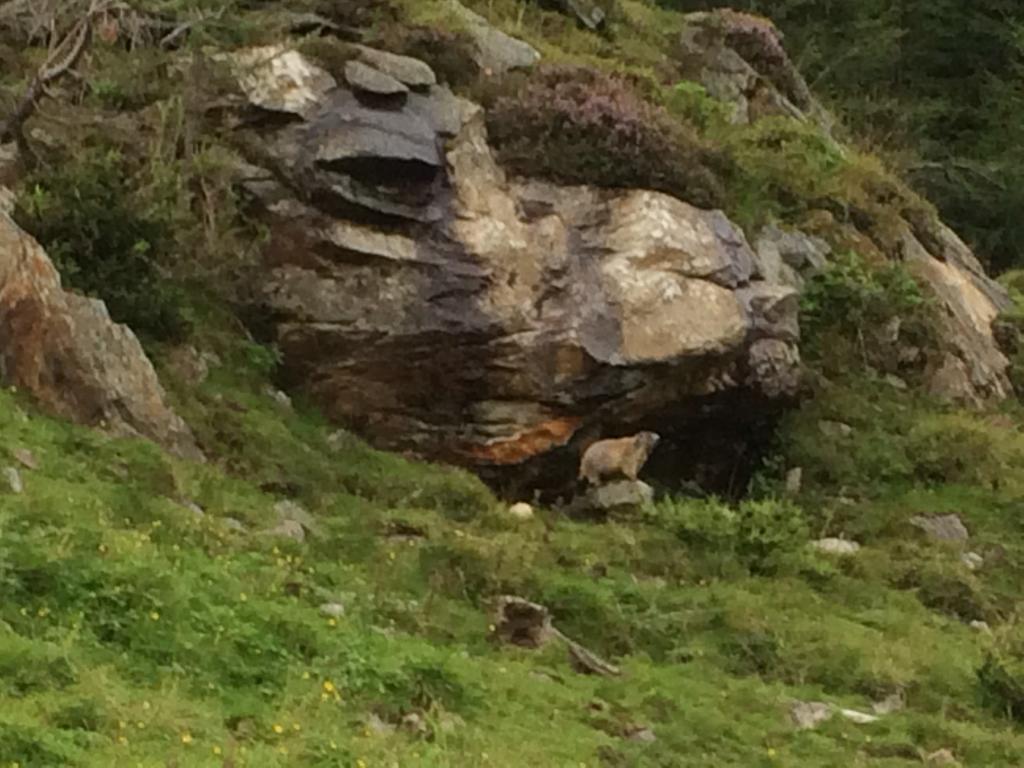 Berghaus Aussergschloess Matrei in Osttirol Exterior foto